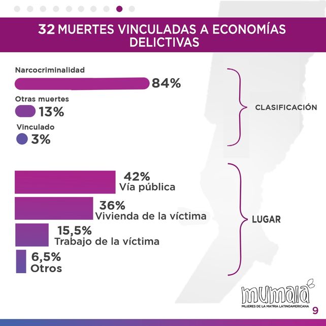 Mumalá publicó los índices de femicidios en Santa Fe 