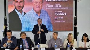 El senador radical Felipe Michlig será candidato a Convencional Constituyente en le reforma de la Constitución provincial.&nbsp;
