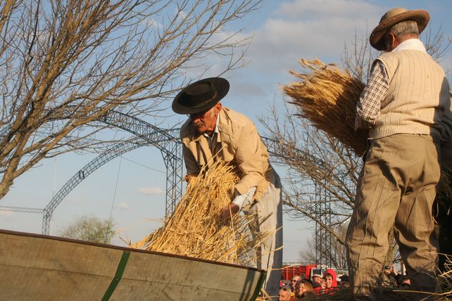 En el campo. Las actividades agropecuarias están consideradas dentro de las de más alto riesgo.&nbsp;