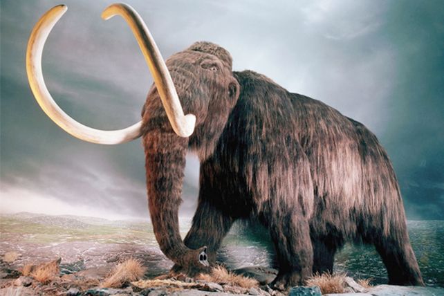 ¿El gigante prehistórico volverá a pisar la Tierra? ¿El gigante prehistórico volverá a pisar la Tierra?