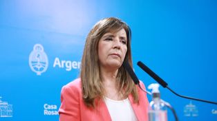 &nbsp;Cerruti dijo que Cristina anunció la idea del proyecto el 10 de diciembre pasado.