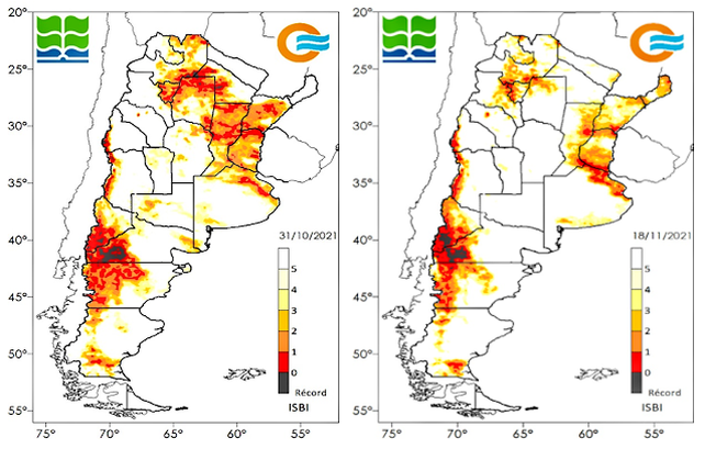 La campaña gruesa pinta muy bien gracias a las lluvias de noviembre