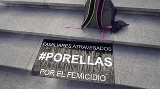 La provincia contabiliza en lo que va del año 66 muertes violentas de mujeres, de las cuales 18 son femicidios en contextos de narcocriminalidad.&nbsp;