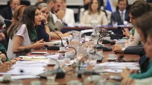 Diputados debatirá desde el 10 de abril el proyecto del aborto legal