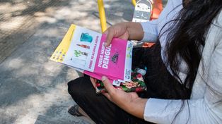 El dengue y el coronavirus, extendidos en el país, poseen algunos síntomas en común