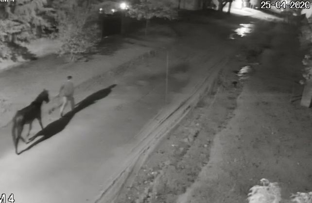 Hasta un caballo. En plena medianoche se da el registro de mayores robos en la zona de la costa.
