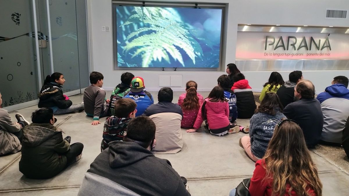 Puerto General San Martín amplió su propuesta para las vacaciones de invierno con teatro, ciencia y deportes