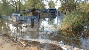 Pronostican que el río Paraná llegaría a los niveles de alerta