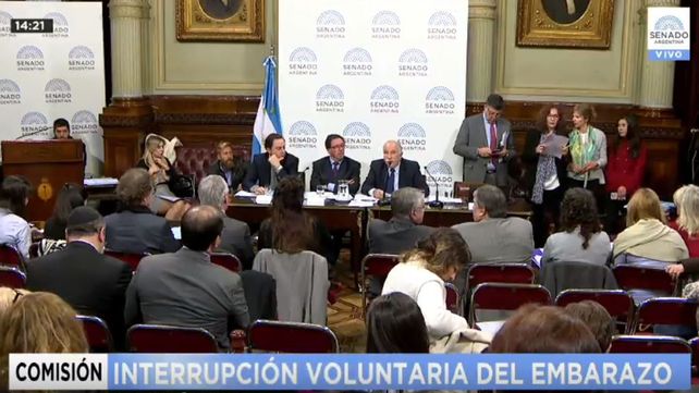 Aborto: comenzaron los debates en el Senado y se puede ver en vivo