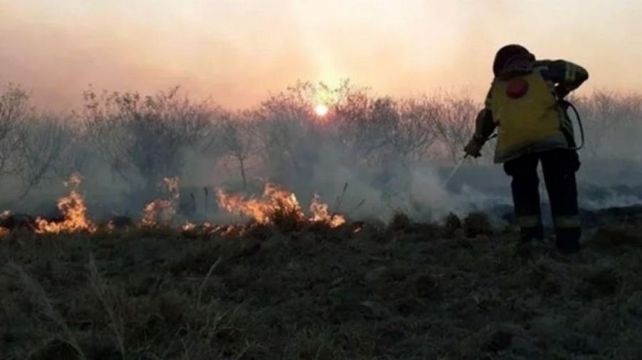 Dramáticos incendios en Corrientes: 350 mil hectáreas fueron arrasadas