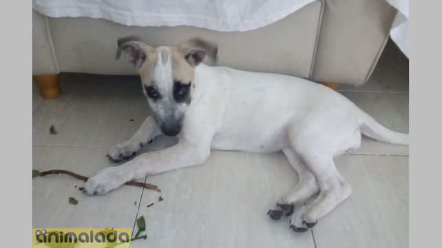 Blanqui.