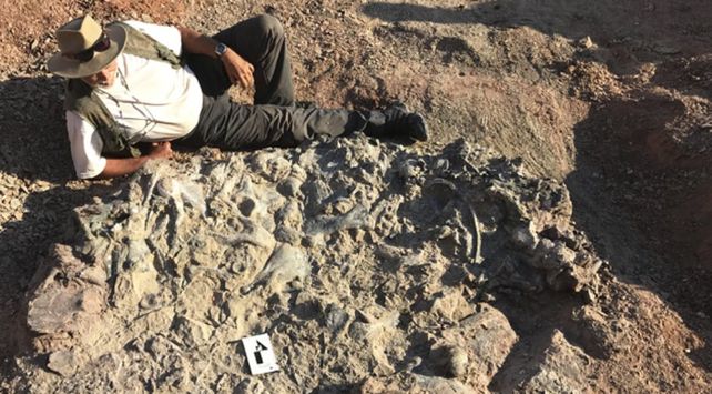 3757_acostado martinez