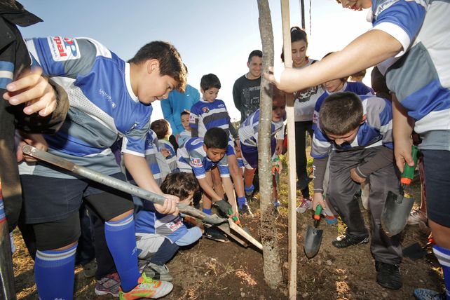 Tras la tormenta de febrero ya se plantaron 9 mil árboles en toda la ciudad