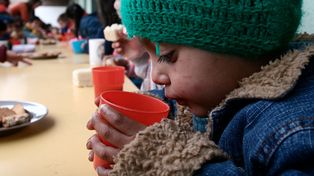 Uno de cada cinco niños del país tiene problemas de nutrición