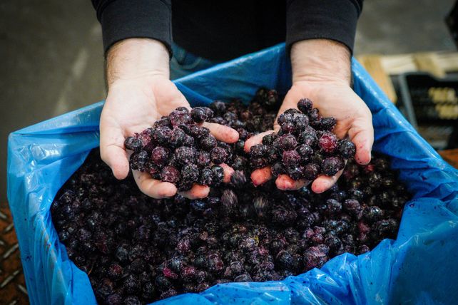 La empresa trabaja con frutas y verduras org&aacute;nicas para garantizar la m&aacute;xima trazabilidad de sus productos.