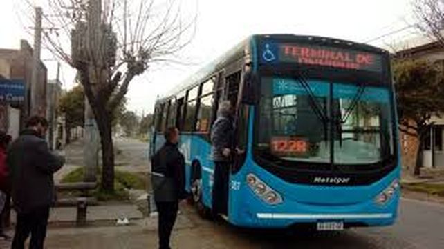 El colectivero presionó el botón de pánico