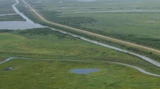 Vista aérea del terraplén de la ruta Rosario-Victoria, en la zona del delta.