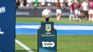 Un diputado presentó un proyecto para quitar los descensos y armar un torneo de 30 equipos