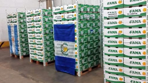 Senasa certificó el primer envío de naranjas frescas argentinas a Guatemala