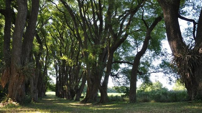 El Sistema de Áreas Naturales Protegidas sumó la Reserva Natural Río de los Pájaros y El Potrero Jardín Botánico para conservación&nbsp;