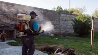 Dengue en Paraná: piden eliminar recipientes con agua