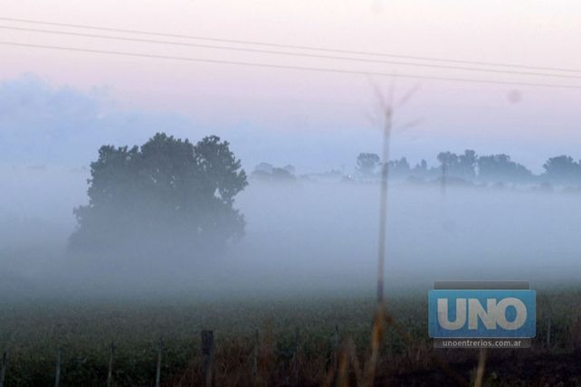 Piden circular con precaución en rutas, por bancos de niebla