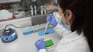 La mayoría de las muestras de casos sospechosos de viruela del mono se procesan en salud pública&nbsp;