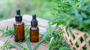 La UNR lanza la 5ª cohorte del posgrado sobre cannabis para la salud