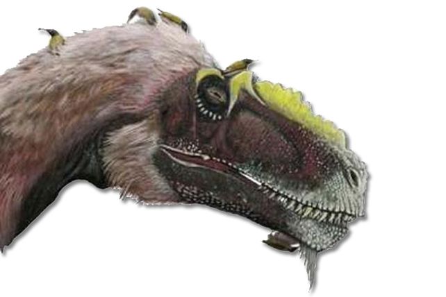Descubren en China un dinosaurio con plumas