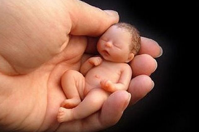 El único aborto con el que estamos a favor es el aborto no punible