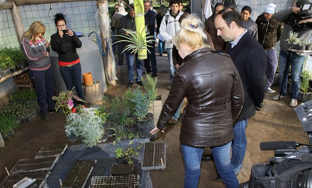 Huertas urbanas: comenzó un curso para personas con discapacidad