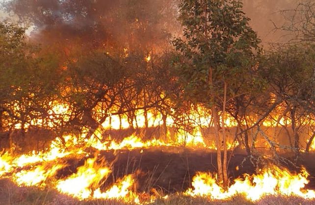 Imágenes del incendio en las 10 hectáreas en la localidad de Rincón.