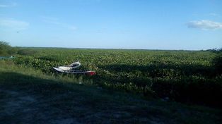 La situación de la crecida del río en Helvecia