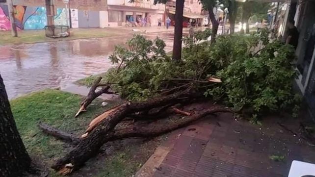 Los destrozos en la localidad El Trébol. (El Trébol Digital)