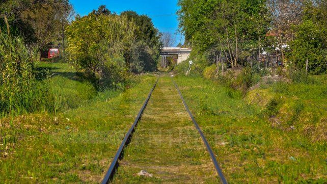 Parque Mayor, calmo enclave en la transformación del sureste