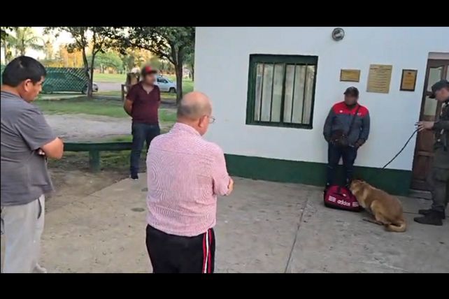El can detector de drogas Sasha marcó un bolso perteneciente a uno de los pasajeros que luego admitió haber ingerido cápsulas con cocaína