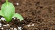 Una mejor fertilización puede sumar 403 dólares por hectárea en maíz y hasta duplicar el margen en soja