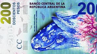 El billete de 200 pesos tendrá la imagen de una ballena y será lanzado el 26 de octubre