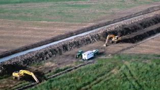 Denuncian que venden terrenos en el área protegida del delta del Paraná