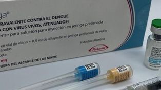 Dengue: el gobierno vacunará en las zonas endémicas del país