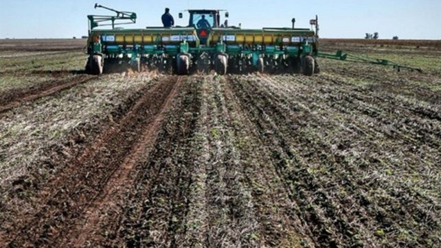 Si las reglas de juego no cambian los productores chicos vamos a tener que volver a la sojización