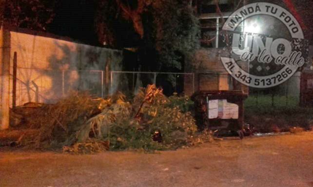 Ramas acumuladasLos vecinos del barrio Santa Lucía estamos cansados de pedir que junten las ramas y nadie hace nada. Es el único lugar que tenemos para dejar las ramas - Satler y Palacios-