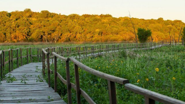 Pre Delta: más de tres décadas de cuidado del ambiente