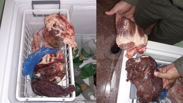 Dos delincuentes presos por robar y faenar tres vacunos en San Javier