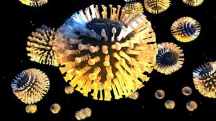 Recomendaciones frente a los casos de gastroenteritis virales