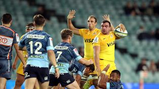Jaguares confirmados para el cierre de la temporada
