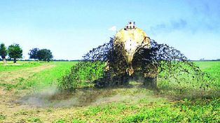 El Inta plantea utilizar los residuos para producir fertilzantes y electricidad