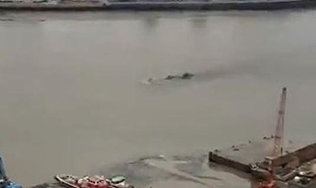 Una serie de bultos extraños fueron filmados por un turista en el río Támesis.