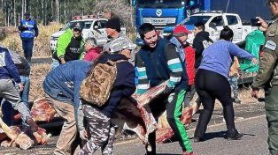 Concordia: la gente se llevó gran parte de las reses de un camión frigorífico que volcó