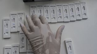Antígenos, PCR y serológicos: qué diferencia hay entre los test y cuándo se utilizan